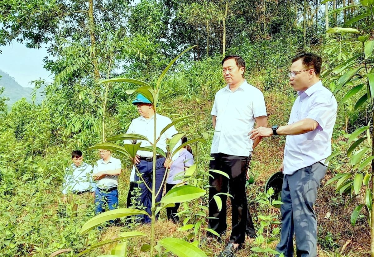 Dồn lực phấn đấu đưa Phong Thổ ra khỏi huyện nghèo vào năm 2025